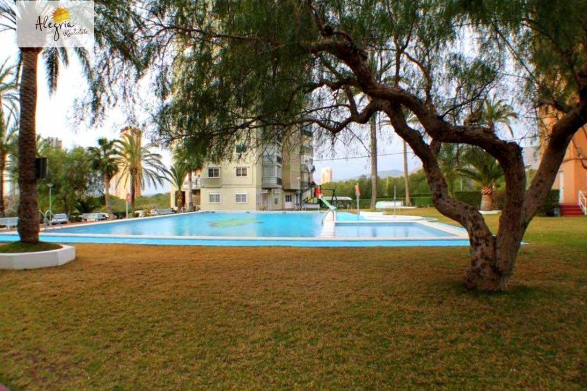 Club Medico Torre VI Lejlighed Benidorm Eksteriør billede